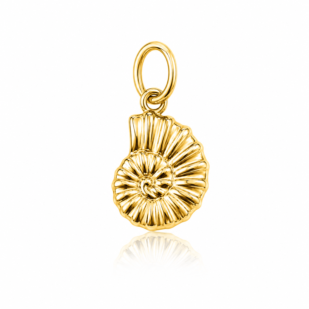 CHARM 06